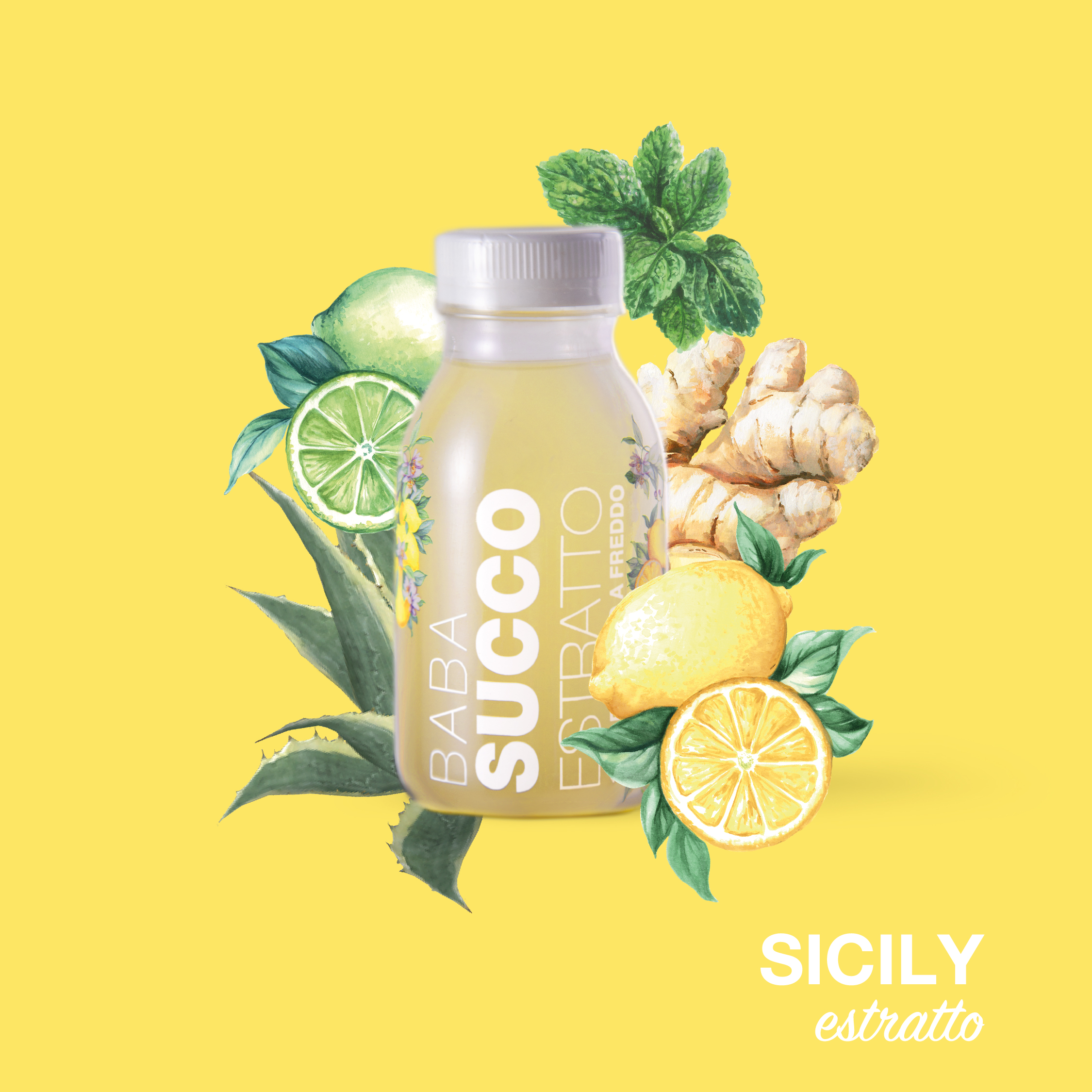 BabaSucco | SICILY ADV